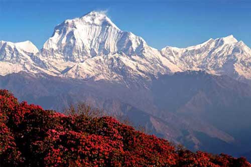 Ghorepani Poon Hill Trek